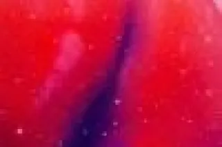 🍑🪵💧💧💧Head & pussy link incall ... - Image 1